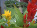 DSCN3183[1]