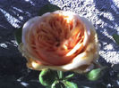 15-07-13_0852
