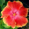 LGm3UcuwJ8bA_gbb0IG4Ag_01