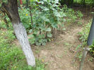 Picture 330