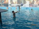 IMG_0601