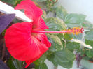 DSCN4615