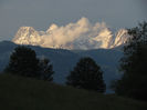 IMG_3546