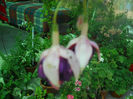 DSCN4620