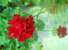 DSCN4625