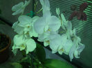 DSCN4626