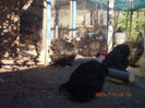 90954602_KTFAOPV