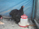 90240632_QDUCBQR