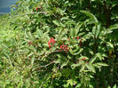 P1460391