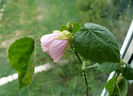 P1460480
