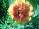 DSCN4638
