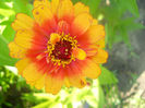DSCN4639