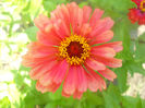 DSCN4640