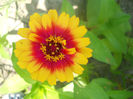 DSCN4642