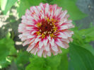 DSCN4643