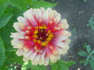 DSCN4646