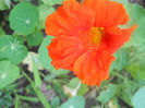 DSCN4657