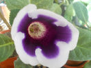 DSCN4673