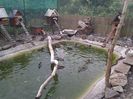 IMG_20130716_072308