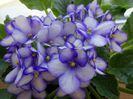 DSC01880
