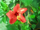 DSCN4686