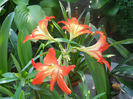 DSCN4689
