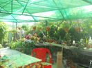 DSCN4695