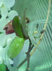 DSCN4627