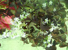 DSCN4631