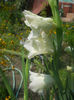 DSCN4636