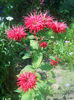 DSCN4647
