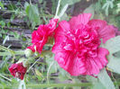 DSCN4670