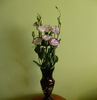 Lisianthus