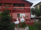 SAM_0646