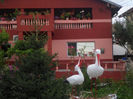 SAM_0649
