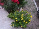 SAM_0658