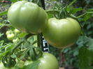 DSCF2178