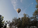 DSCN3217