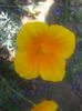 2013-07-07 14.16.49