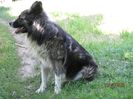 IMG_5926