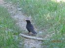 IMG_5882