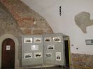 IMG_0249