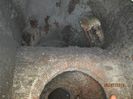 IMG_0320