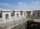 IMG_0382