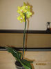 IMG_0010a
