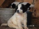 SAM_2657