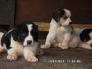 SAM_2658