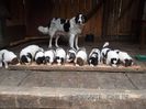 SAM_2670