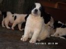 SAM_2746