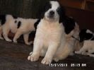 SAM_2757